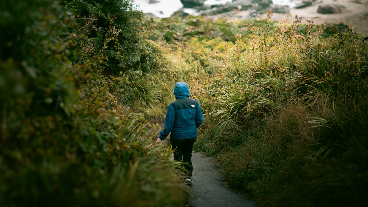 A toddler and parent exploring a nature trail together, the child reaching out to touch leaves