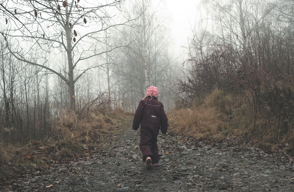 A family with young children walking along a forest trail on a sunny weekend morning