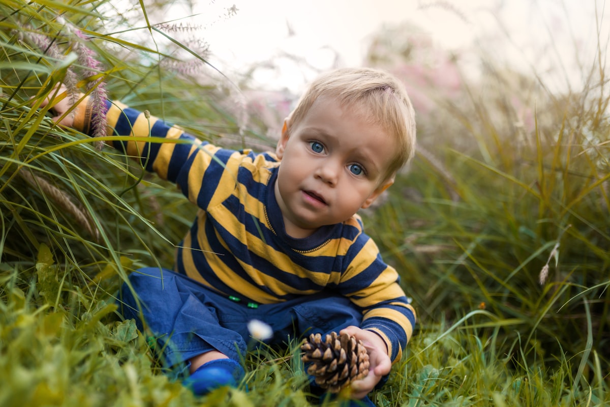 Environmental Education Improves Academic Performance
