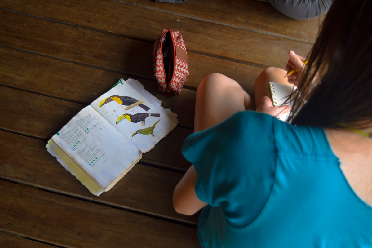 A child sitting outside sketching in a nature journal with leaves and pinecones nearby