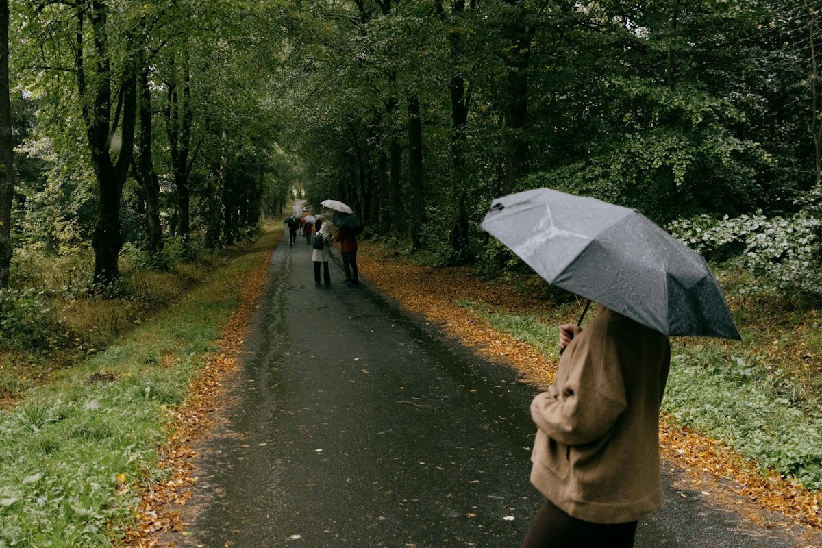 A parent and toddler walking together on a leaf-covered trail in light rain