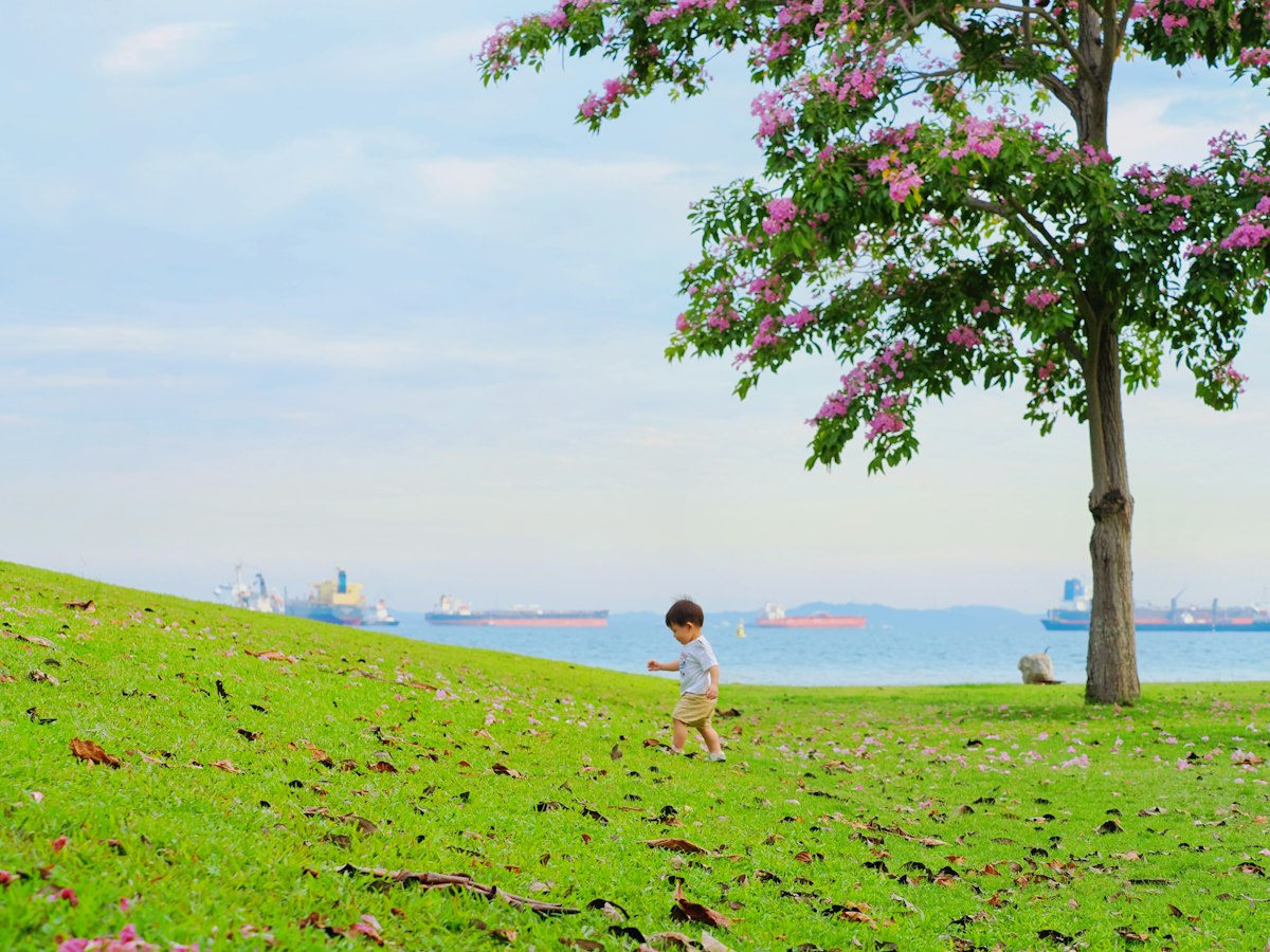 Young child crouching in a spring meadow examining flowers and insects up close