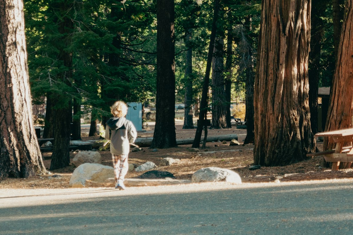 Young child eating a meal at a campsite picnic table surrounded by trees